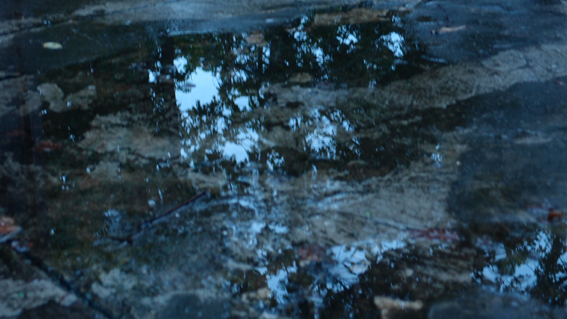 2021-08-29 Das Kleine Regen Rhythmus Orchester spielt 'autonome Beats' (Spiegel)